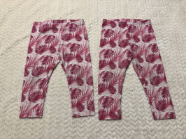 leggins