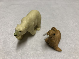 eisbär und seelöwe