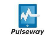 Pulseway remote management basis