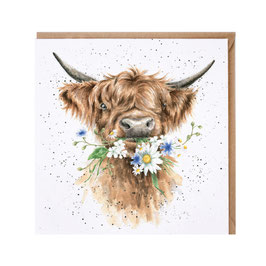 Klappkarte "Daisy Coo"
