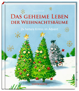 24 Impulse im Advent - Adventkalenderbuch