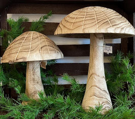 Große Holz-Pilze