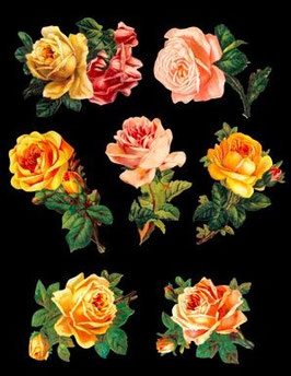 Glanz-Reliefbilder Rosen
