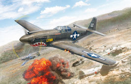 P-51A Mustang COD: 1423