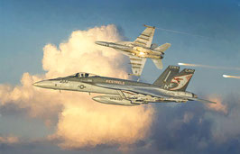 F/A-18 E SUPER HORNET COD: 2791