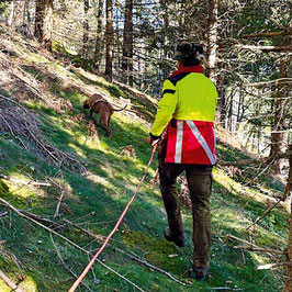 Präsenzkurs: In der Nachsuchenarbeit zum Profi werden