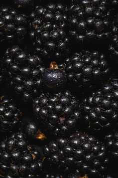 Mûres