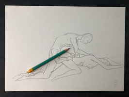 Dual4arm2
