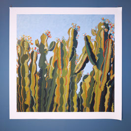 EUPHORBIA INGENS 80x80 CM. NO FRAME