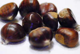 Chestnuts - Pre order / 1 KG