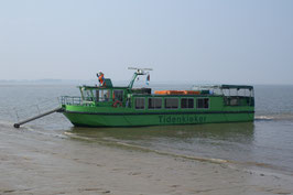 K33  Tidenkiekerfahrt-Schilfparadiese