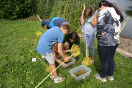 K28 Forschen im Wasserland