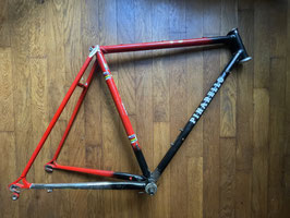 PINARELLO TREVISO