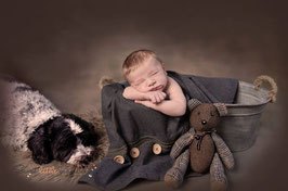 Set - Teddy