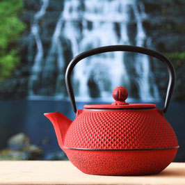 Theepot Gietijzer rood