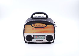 Radio ornament mit BLUETOOTH FUNKTION!!!