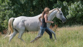 Freiheitsdressur mit Susanne Lohas | 27.-28. Juni 2026