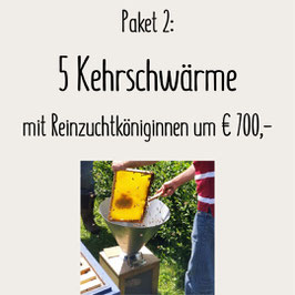 Paket 2: 5 Kehrschärme mit Reinzuchtköniginnen