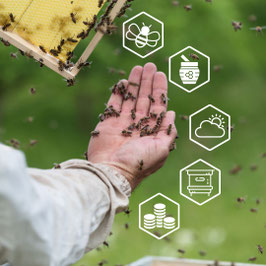 Kurs: "Digitale Imkerei" via ONLINE-Meeting