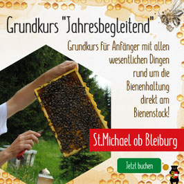 "Grundlagenkurs der Imkerei - Jahresbegleitend" in St.Michael ob Bleiburg