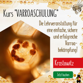Kurs: "VARROASCHULUNG” im Bildungshaus Schloss Krastowitz