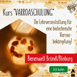 Kurs: "VARROASCHULUNG - biotechnische Varroabekämpfung” in der Bienenwelt Bründl/Bleiburg