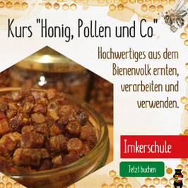 Kurs: Hochwertiges aus dem Bienenvolk. Honig, Pollen und Co.