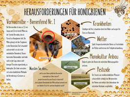 Lehrtafel "HERAUSFORDERUNGEN FÜR HONIGBIENEN"