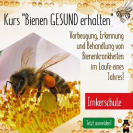 Kurs: "Bienen gesund erhalten" an der Kärntner Imkerschule