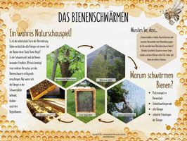 Lehrtafel "DAS BIENENSCHWÄRMEN"