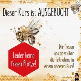 "Grundlagenkurs der Imkerei" in der Bienenwelt Bründl in Bleiburg