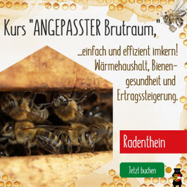Kurs: "Imkern im angepassten Brutraum, einfach und effizient" in Radenthein