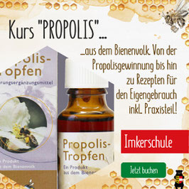 Kurs: "Propolis" an der Kärntner Imkerschule (15.10. und 19.10.2025)
