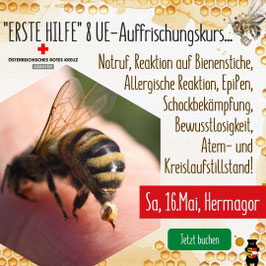 "Erste-Hilfe-Kurs" für Imkerinnen und Imker in Hermagor