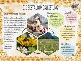 Lehrtafel "DIE BESTÄUBUNGSLEISTUNG"