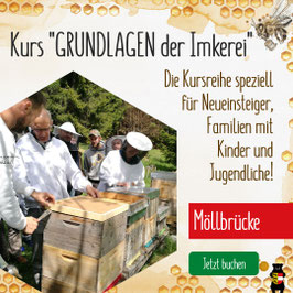Kurs: "Grundlagen der Imkerei" – Speziell für Familien und Jugendliche in Möllbrücke