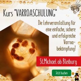 Kurs: "VARROASCHULUNG” St. Michael ob Bleiburg