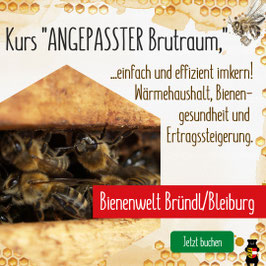 Kurs: "Imkern im angepassten Brutraum - Betriebsweisen vergleichen" in der Bienenwelt Bründl/Bleiburg