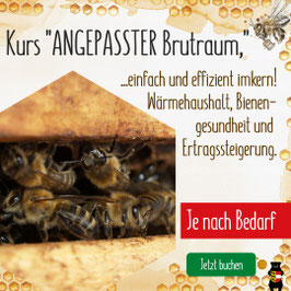 Kurs: "Imkern im angepassten Brutraum" Ort und Termin je nach Bedarf