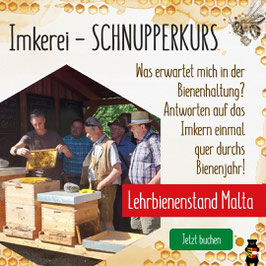 Kurs: "Imkerei-SCHNUPPERKURS" am Maltataler Lehrbienenstand