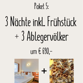 Paket 5: 3 Ableger mit Reinzuchtköniginnen