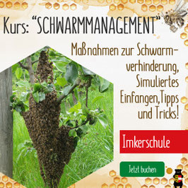 Kurs: "Schwarmmanagement - Vermeiden und Einfangen" an der Kärntner Imkerschule