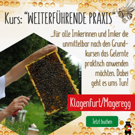"Weiterführender Praxiskurs" (2. Jahr in der Imkerei) im Schloss Mageregg Klagenfurt
