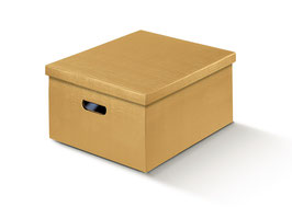 XXL Geschenkbox/Aufbewahrungsbox gold - 50x34x25 cm mit Eingriff