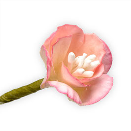 12 Papier-Kirschblüten rosa