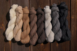 Alpakawolle Die Alpakaflusterin Alpaca Finca Im Spreewald Alpaka Online Shop Alpaka Socken Alpaka Pullover Alpaka Wolle