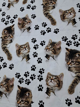French Terry Druck XXL - Katzen/ Pfoten (große Motive)