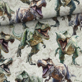 French Terry Kombi - T-Rex auf der Jagd