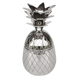Hazenkamp Ananas Pineapple Dose