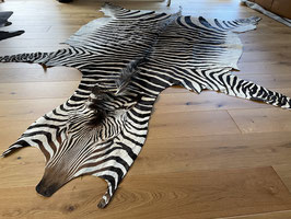 Zebra Hartmann Fell aus Namibia #15 Select
